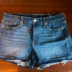 Banana Republic Denim Cut off Shorts 31 12